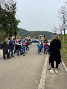 Sajenje medovitih dreves 3